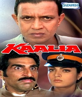 دانلود فیلم هندی Kaalia 1997 (سیاهی)
