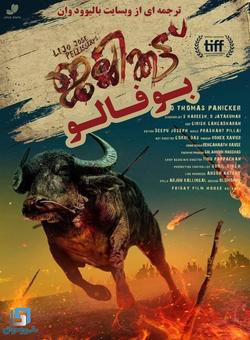 دانلود فیلم هندی Jallikattu 2019 ( بوفالو ) با زیرنویس فارسی